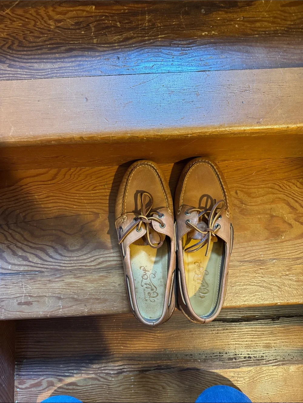 Men's Tan Sperry Gold Cup